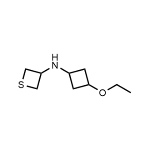 N-(3-ethoxycyclobutyl)thietan-3-amine|CS-0485352