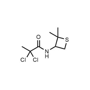 2,2-Dichloro-N-(2,2-dimethylthietan-3-yl)propanamide|CS-0485496