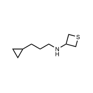 N-(3-cyclopropylpropyl)thietan-3-amine|CS-0485644
