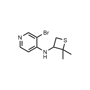 3-Bromo-N-(2,2-dimethylthietan-3-yl)pyridin-4-amine|CS-0485685