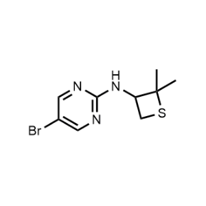 5-Bromo-N-(2,2-dimethylthietan-3-yl)pyrimidin-2-amine|CS-0485738