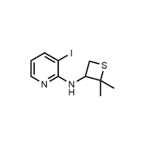 N-(2,2-dimethylthietan-3-yl)-3-iodopyridin-2-amine|CS-0485743