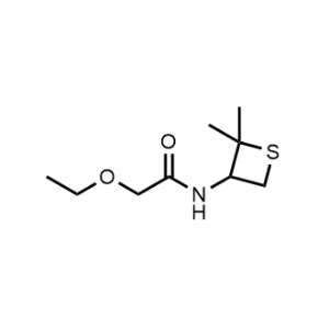 N-(2,2-dimethylthietan-3-yl)-2-ethoxyacetamide|CS-0485807