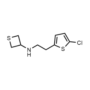 N-(2-(5-chlorothiophen-2-yl)ethyl)thietan-3-amine|CS-0485882