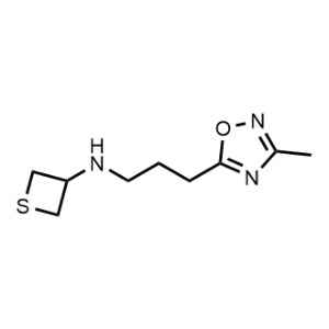 N-(3-(3-methyl-1,2,4-oxadiazol-5-yl)propyl)thietan-3-amine|CS-0485974