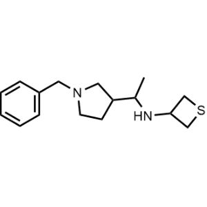 N-(1-(1-benzylpyrrolidin-3-yl)ethyl)thietan-3-amine|CS-0486029