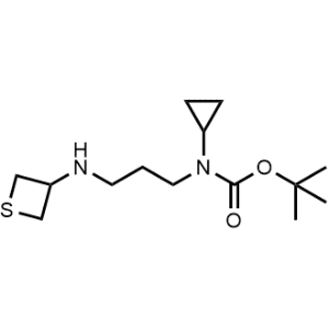 Tert-butyl cyclopropyl(3-(thietan-3-ylamino)propyl)carbamate|CS-0486117