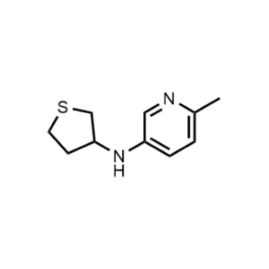 6-Methyl-N-(tetrahydrothiophen-3-yl)pyridin-3-amine|CS-0486900