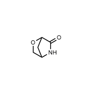 2-Oxa-5-azabicyclo[2.2.1]Heptan-6-one|CS-0490521