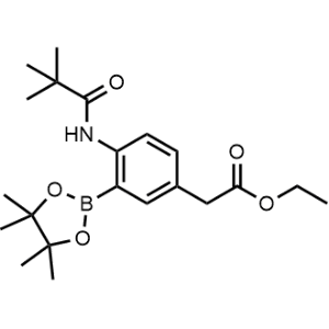 Ethyl 2-(4-pivalamido-3-(4,4,5,5-tetramethyl-1,3,2-dioxaborolan-2-yl)phenyl)acetate|CS-0494718