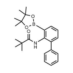 N-(3-(4,4,5,5-tetramethyl-1,3,2-dioxaborolan-2-yl)-[1,1'-biphenyl]-2-yl)pivalamide|CS-0494725