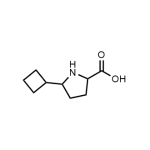 5-Cyclobutylpyrrolidine-2-carboxylic acid|CS-0495220