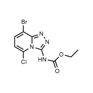 Ethyl (8-bromo-5-chloro-[1,2,4]triazolo[4,3-a]pyridin-3-yl)carbamate|CS-0495706