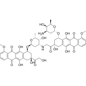 (8S,10S)-10-(((2S,4R,5R,6R)-4-Amino-5-hydroxy-6-methyltetrahydro-2H-pyran-2-yl)oxy)-6,8,11-trihydroxy-8-(2-(((2R,3R,4R,6S)-3-hydroxy-2-methyl-6-(((1S,3S)-3,5,12-trihydroxy-3-(2-hydroxyacetyl)-10-methoxy-6,11-dioxo-1,2,3,4,6,11-hexahydrotetracen-1-yl)oxy)tetrahydro-2H-pyran-4-yl)amino)acetyl)-1-methoxy-7,8,9,10-tetrahydrotetracene-5,12-dione Doxorubicin Impurity|CS-0497602