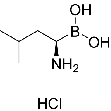(R)-(1-Amino-3-methylbutyl)boronic acid hydrochloride|CS-0499001