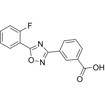 CS-0503