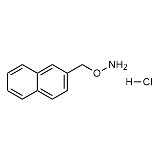 O-(naphthalen-2-ylmethyl)hydroxylamine hydrochloride|CS-0510399
