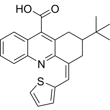 2-(Tert-butyl)-4-(thiophen-2-ylmethylene)-1,2,3,4-tetrahydroacridine-9-carboxylic acid|CS-0511558