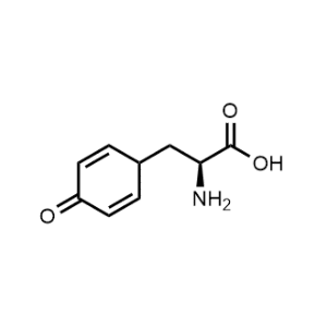 (S)-2-Amino-3-(4-oxocyclohexa-2,5-dien-1-yl)propanoic acid|CS-0514128
