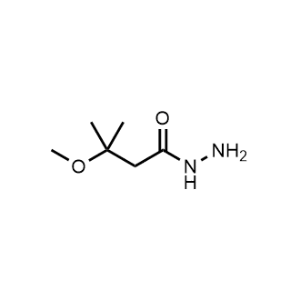 3-Methoxy-3-methylbutanehydrazide|CS-0515535