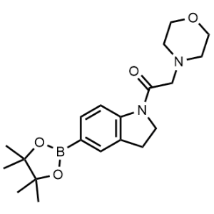 2-Morpholino-1-(5-(4,4,5,5-tetramethyl-1,3,2-dioxaborolan-2-yl)indolin-1-yl)ethan-1-one|CS-0515631