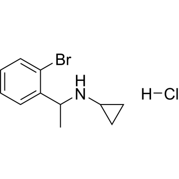 N-(1-(2-bromophenyl)ethyl)cyclopropanamine hydrochloride|CS-0517573