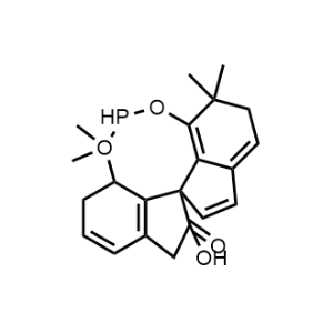 5-Hydroxy-10,10,13,13-tetramethyl-1,4,5,9,10,12,13,13a-octahydro-5lambda5,13lambda4-diindeno[7,1-de:1',7'-fg][1,3,2]dioxaphosphocin-5-one|CS-0518336