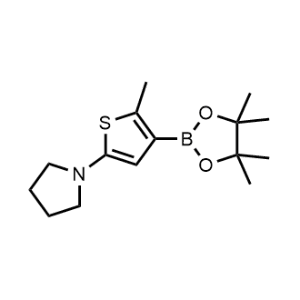 1-(5-Methyl-4-(4,4,5,5-tetramethyl-1,3,2-dioxaborolan-2-yl)thiophen-2-yl)pyrrolidine|CS-0519459