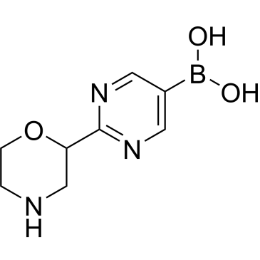(2-(Morpholin-2-yl)pyrimidin-5-yl)boronic acid|CS-0519638