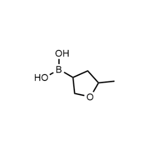 (5-Methyltetrahydrofuran-3-yl)boronic acid|CS-0519674