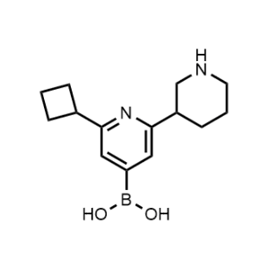 (2-Cyclobutyl-6-(piperidin-3-yl)pyridin-4-yl)boronic acid|CS-0519675