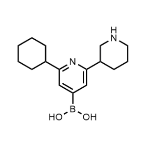 (2-Cyclohexyl-6-(piperidin-3-yl)pyridin-4-yl)boronic acid|CS-0519687