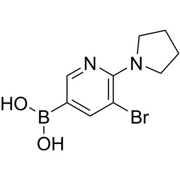 (5-Bromo-6-(pyrrolidin-1-yl)pyridin-3-yl)boronic acid|CS-0519795