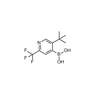(5-(Tert-butyl)-2-(trifluoromethyl)pyridin-4-yl)boronic acid|CS-0520003