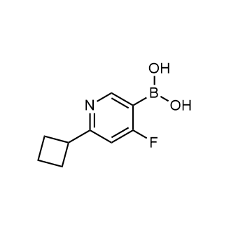 (6-Cyclobutyl-4-fluoropyridin-3-yl)boronic acid|CS-0520344