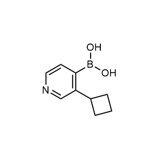 (3-Cyclobutylpyridin-4-yl)boronic acid|CS-0520357