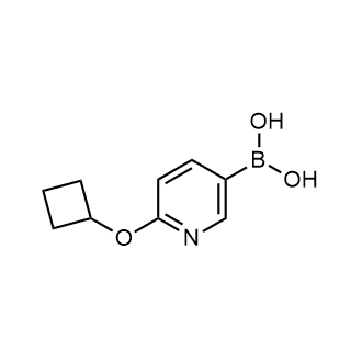 (6-Cyclobutoxypyridin-3-yl)boronic acid|CS-0520611