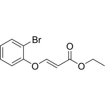 Ethyl 3-(2-bromophenoxy)acrylate|CS-0521578