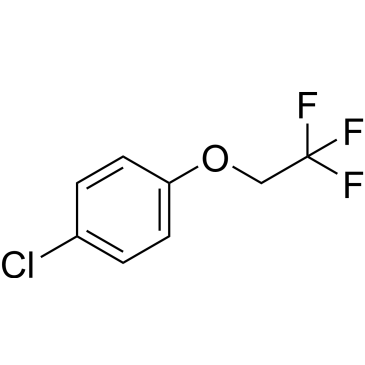 1-Chloro-4-(2,2,2-trifluoroethoxy)benzene|CS-0523431