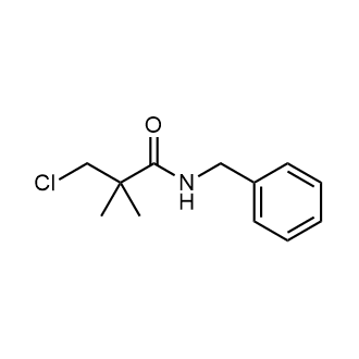N-benzyl-3-chloro-2,2-dimethylpropanamide|CS-0523578