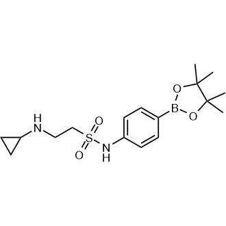 2-(Cyclopropylamino)-N-(4-(4,4,5,5-tetramethyl-1,3,2-dioxaborolan-2-yl)phenyl)ethane-1-sulfonamide|CS-0524198