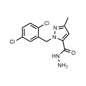 1-(2,5-Dichlorobenzyl)-3-methyl-1H-pyrazole-5-carbohydrazide|CS-0525009