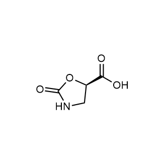 (R)-2-Oxooxazolidine-5-carboxylic acid|CS-0529435