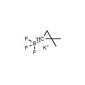 Potassium (2,2-dimethylcyclopropyl)trifluoroborate|CS-0529650