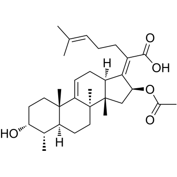 Fusidic acid impurity 6|CS-0531794