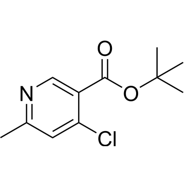 tert-Butyl 4-chloro-6-methylnicotinate|CS-0532433