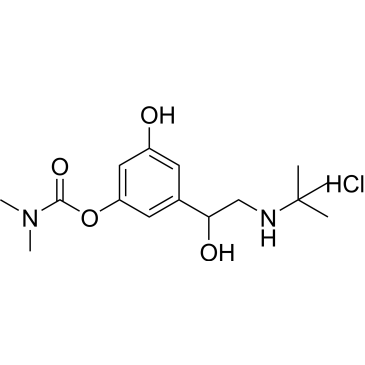 3-(2-(tert-Butylamino)-1-hydroxyethyl)-5-hydroxyphenyl dimethylcarbamate hydrochloride Bambuterol Impurity|CS-0533362