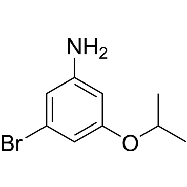 3-Bromo-5-isopropoxyaniline|CS-0534296