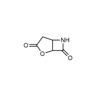 2-Oxa-6-azabicyclo[3.2.0]heptane-3,7-dione|CS-0534578
