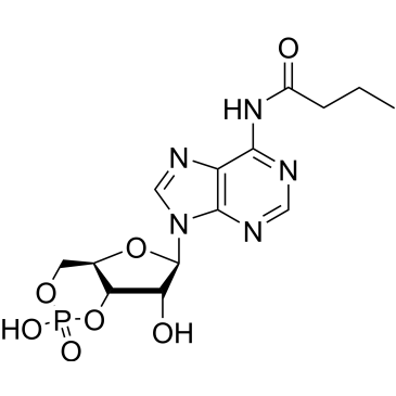 N-(9-((4aR,6R,7R,7aS)-2,7-dihydroxy-2-oxidotetrahydro-4H-furo[3,2-d][1,3,2]dioxaphosphinin-6-yl)-9H-purin-6-yl)butyramide|CS-0535741